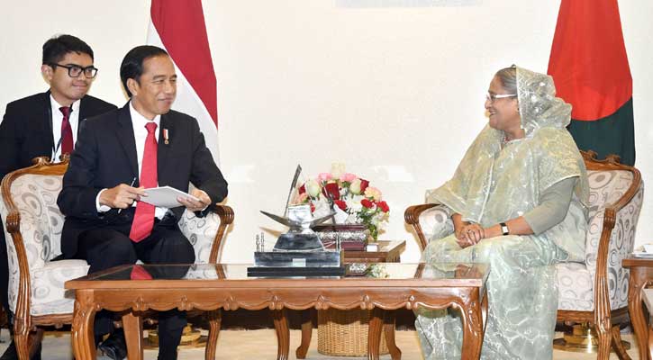 Indonesian President wants quick solution to Rohingya crisis