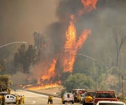 Children die in California wildfire