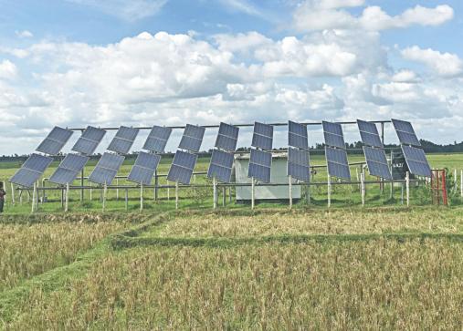Solar-powered irrigation improves farming