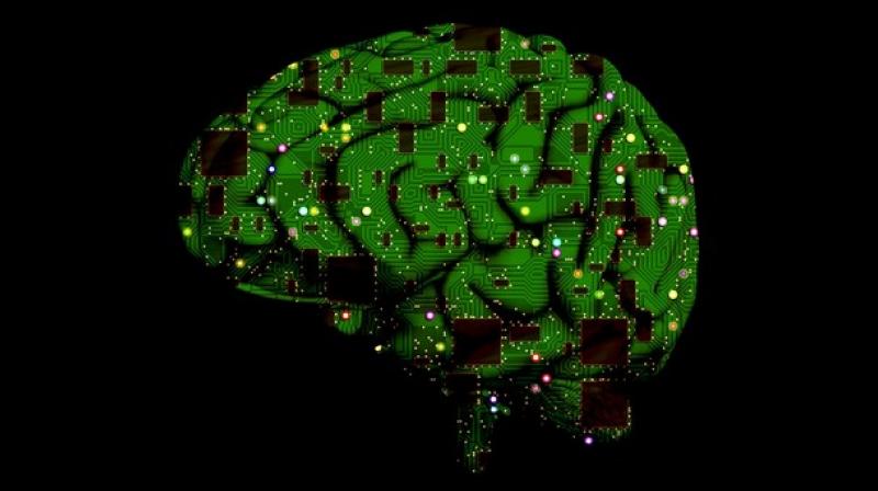 Researchers build first-ever brain-to-brain network for thought exchange