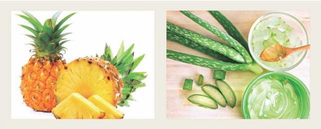 Pineapple, aloe vera make it to export list