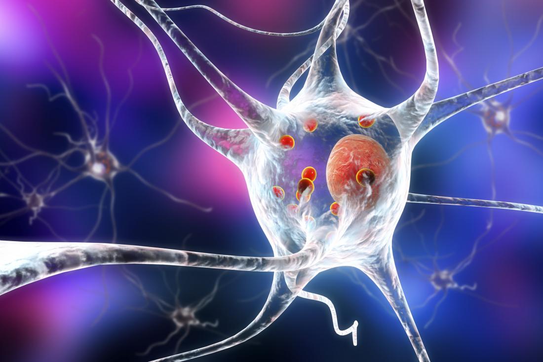 Scientists confirm the role of 'molecular switch' in Parkinson's disease
