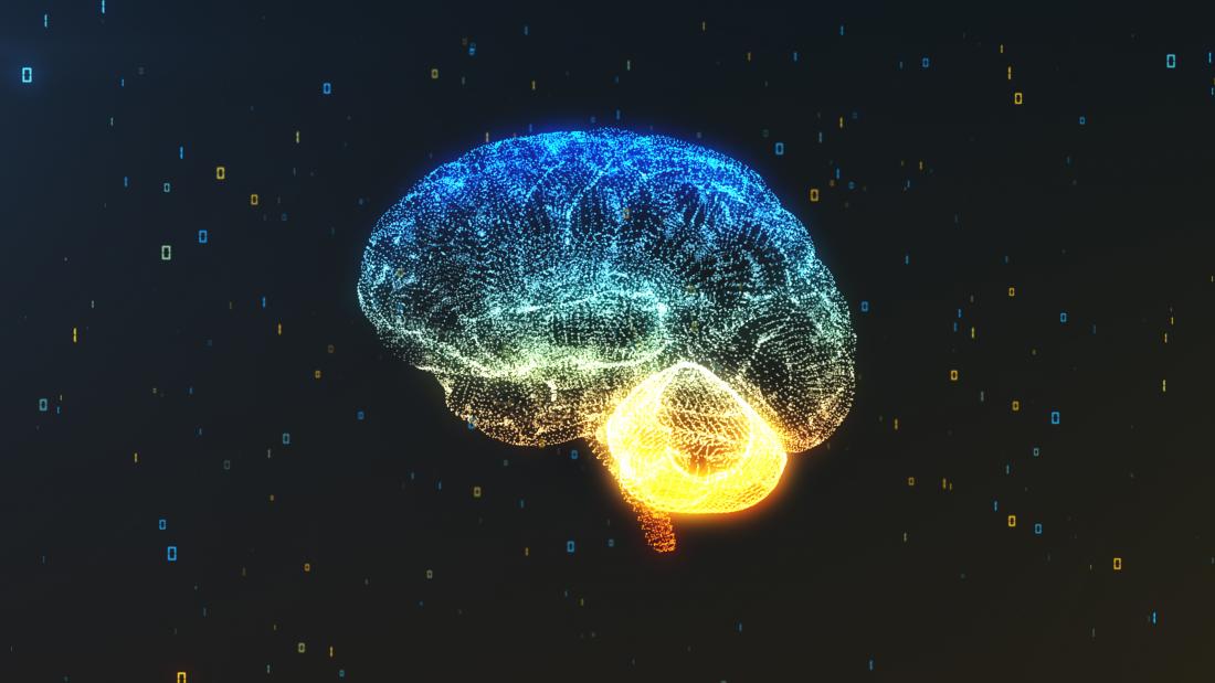 New brain region 'could be what makes humans unique'