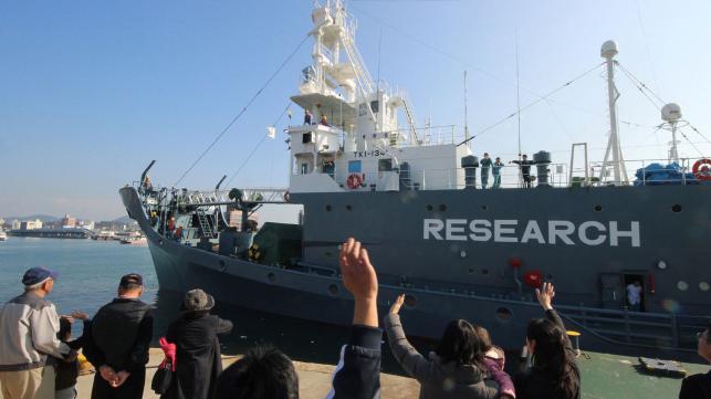 Japan expected to resume commercial whaling