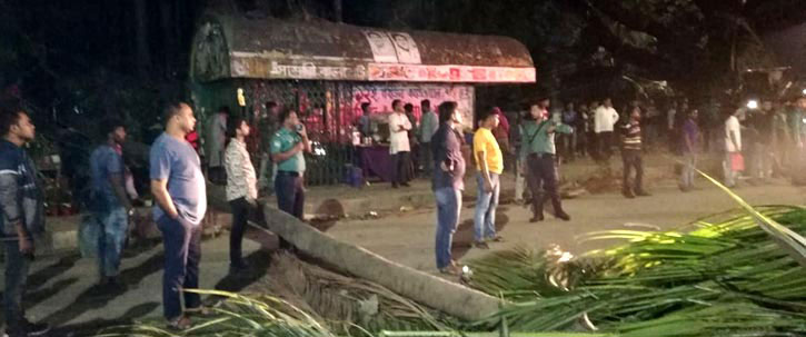 Woman killed as tree falls on her in front of Shishu Academy