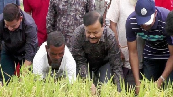 Cops now help Rangpur farmers harvest paddy