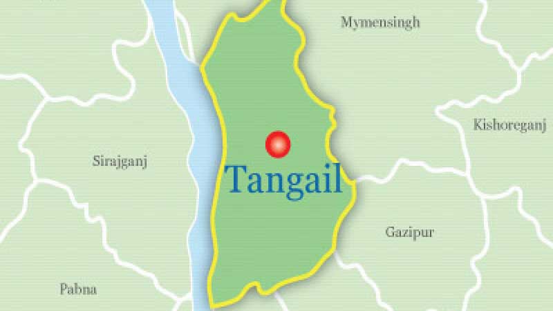 Youth dies of dengue in Tangail