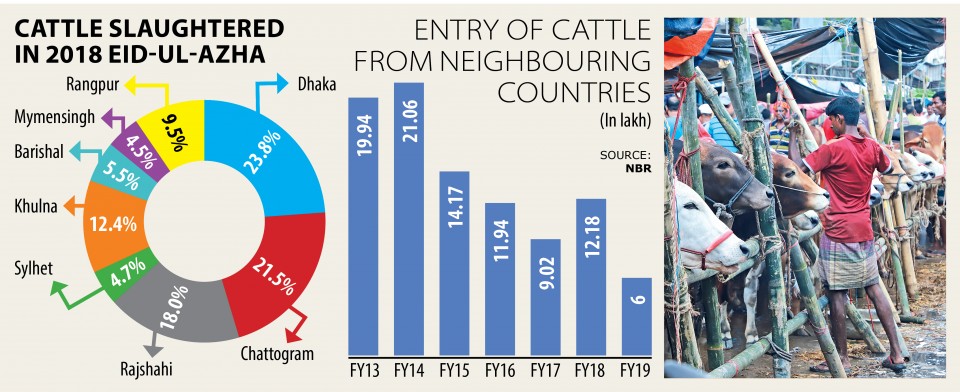 Entry of Indian cattle drops to a four-year low