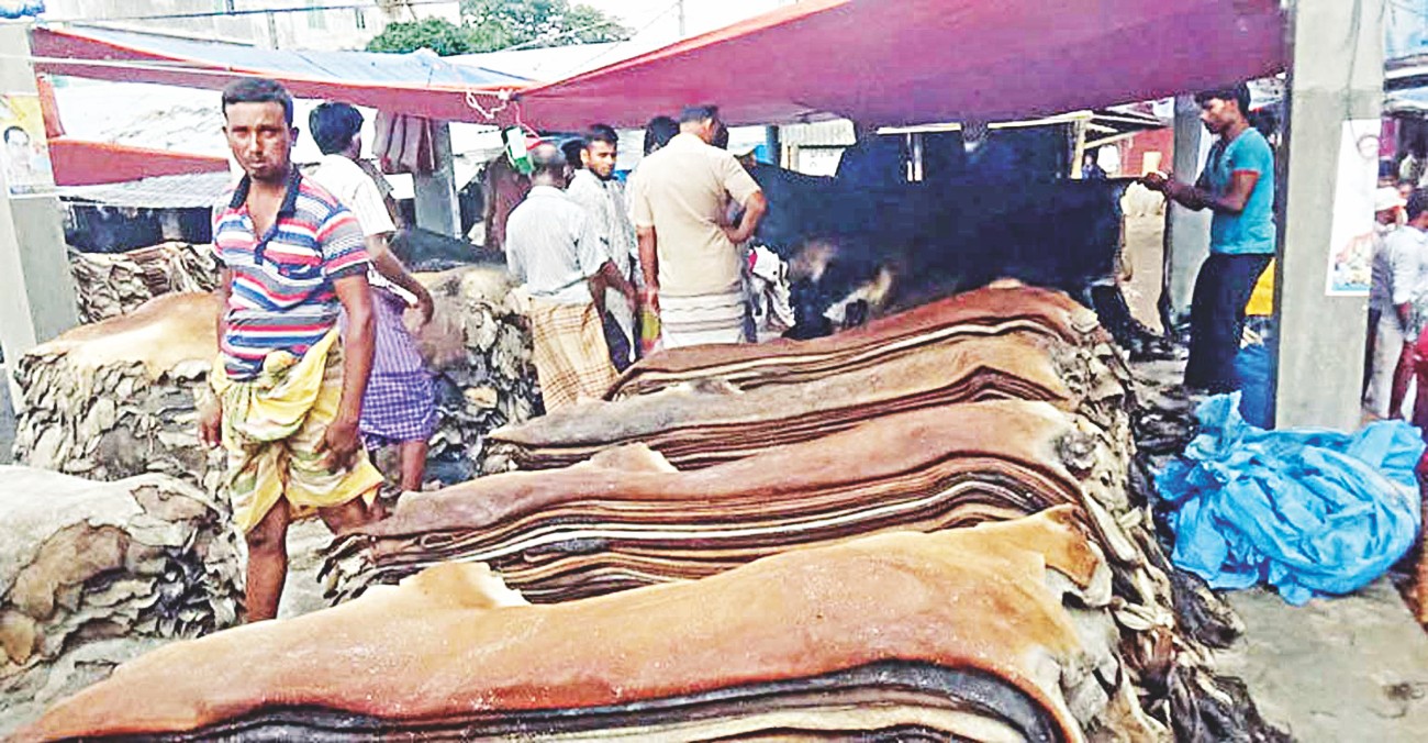 Gaibandha rawhide traders face huge losses