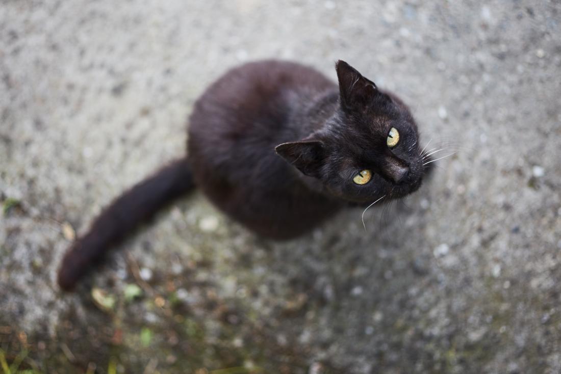 How do superstitions affect our psychology and well-being?