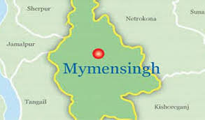 Dhaka-Mymensingh train service resumes