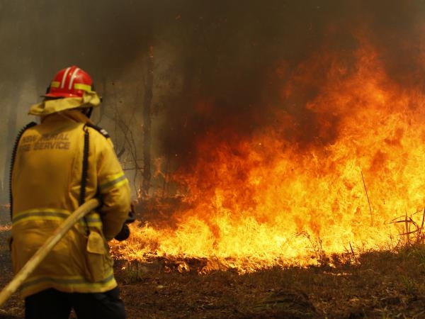Three dead amid Australia's massive bushfires