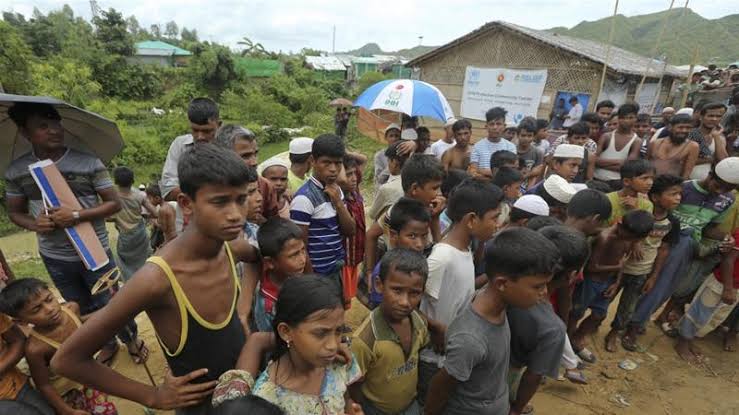 China working to resolve Rohingya crisis: envoy
