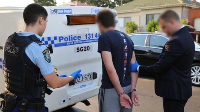 Sydney man charged with plotting terror attack