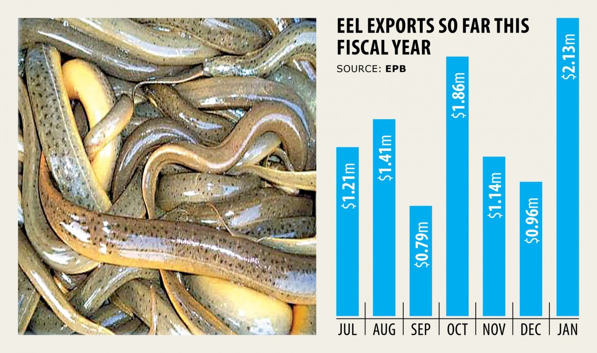 Sakhipur eel farmers area in warm water for coronavirus