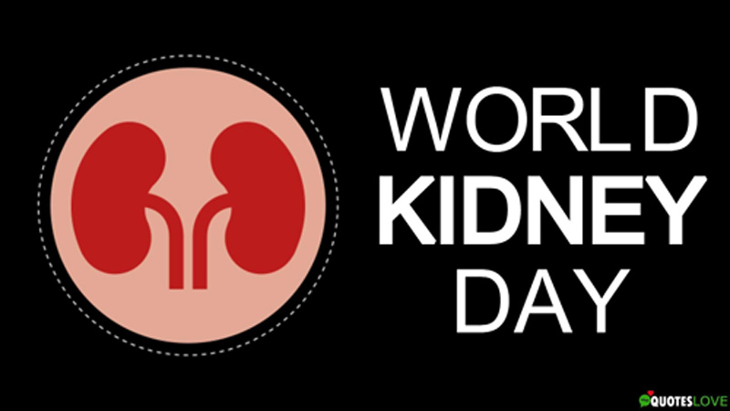 World Kidney Day Thursday, 20m have problems with ailments