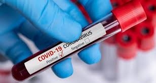 Coronavirus pandemic is 'accelerating', WHO warns