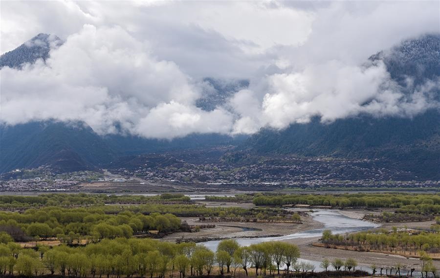 Spring scenery at Yani national wetland recreation area in Nyingchi, Tibet