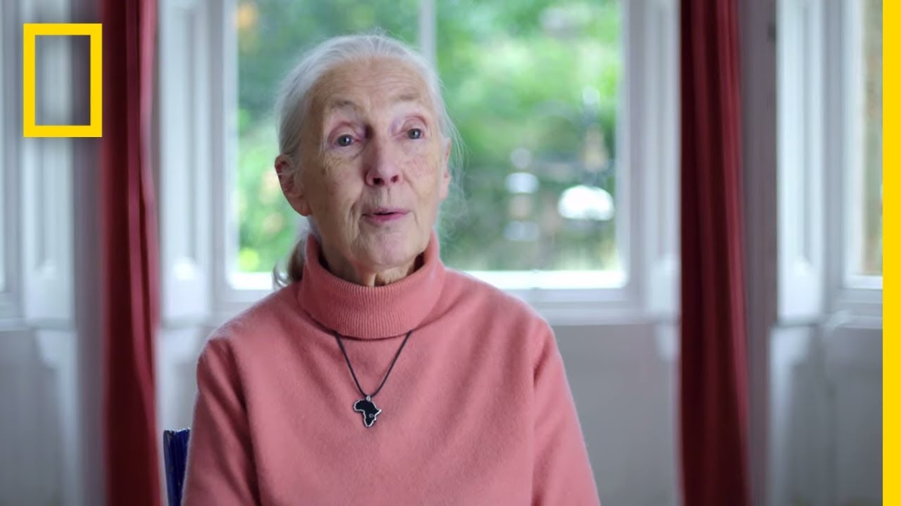 Jane Goodall: Disrespect for animals caused Covid-19 pandemic