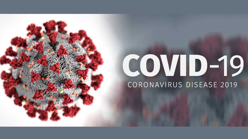 3 more die; 549 new coronavirus cases in 24 hrs