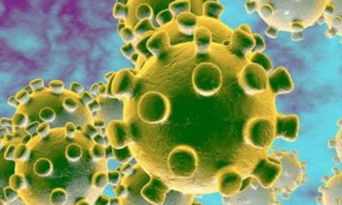 Virus cases reach 7,667, deaths 168