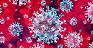 88 new coronavirus cases detected in Rajshahi division