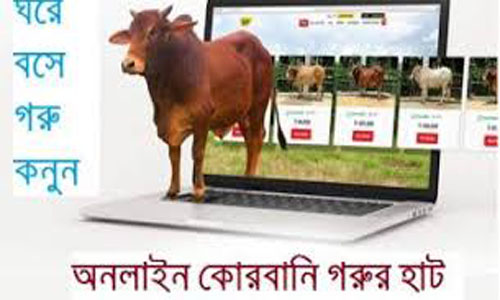 Digital 'cattle haat' opens at govt initiative