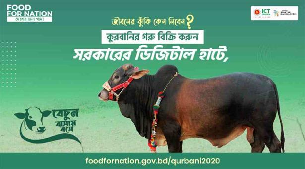 Eid ul Azha: Online cattle shopping for likely to reach new heights amid pandemic