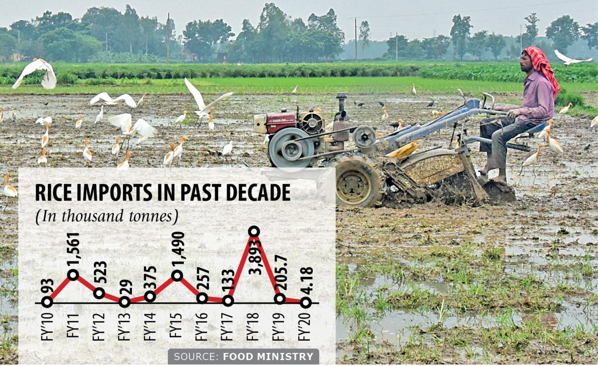 Rice imports drop to four-decade low