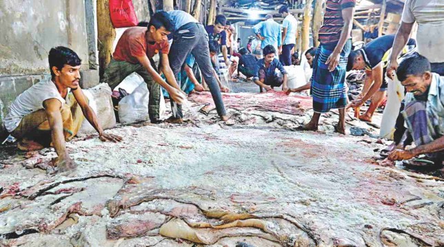 Lower prices for rawhide this Eid