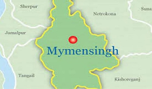 8 of family killed as microbus falls into pond in M'singh