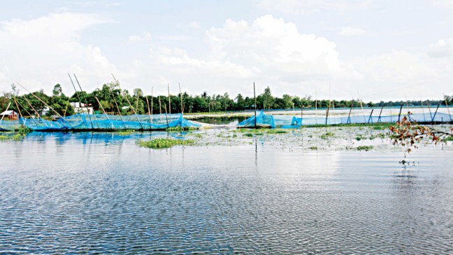 Tangail fish farmers suffer Tk 25cr losses for floods
