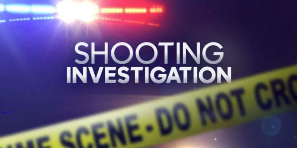 Boy, 3, fatally shoots self at his party