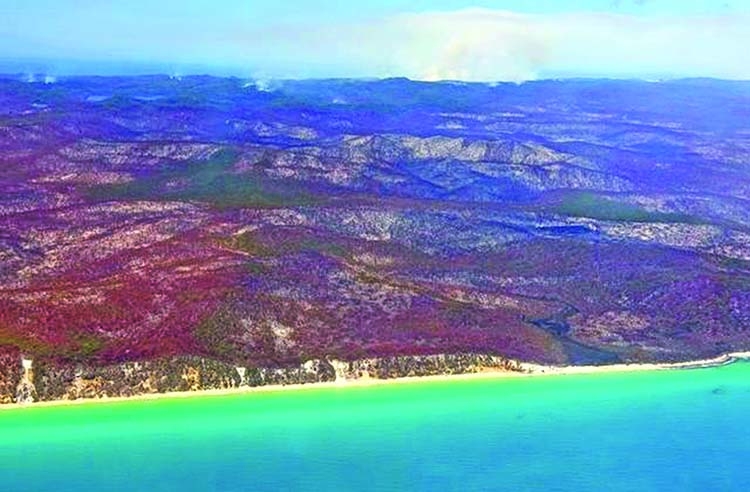 Australia bushfire threatens township on Universe Heritage-listed Fraser island