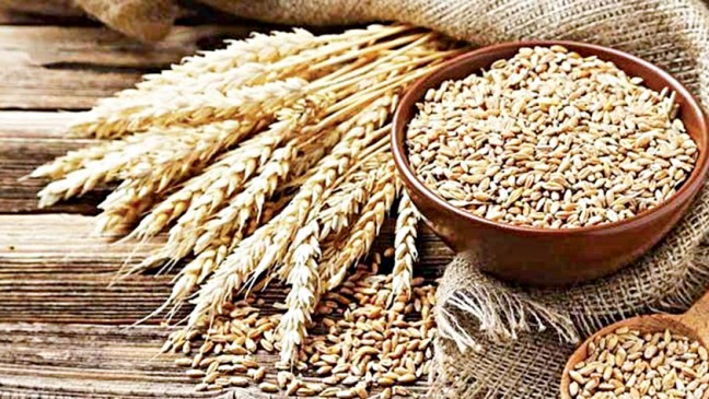 Govt approves import of 50,000 tonnes of wheat
