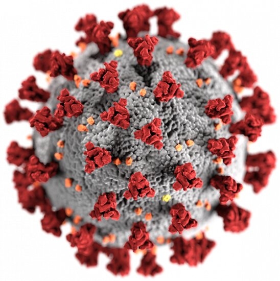 Virus likely to last long-term in spite of global vaccine rollout
