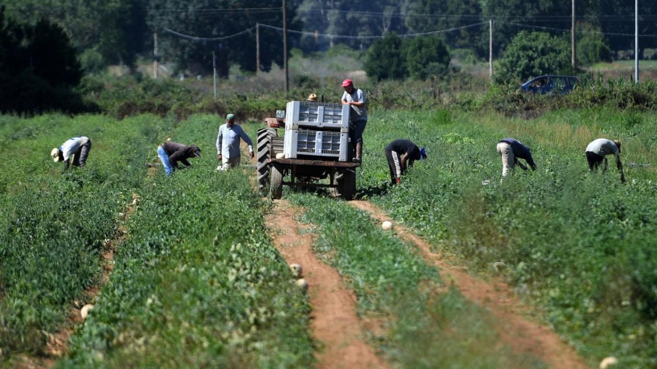 Indian farm workers exploited  in Italy