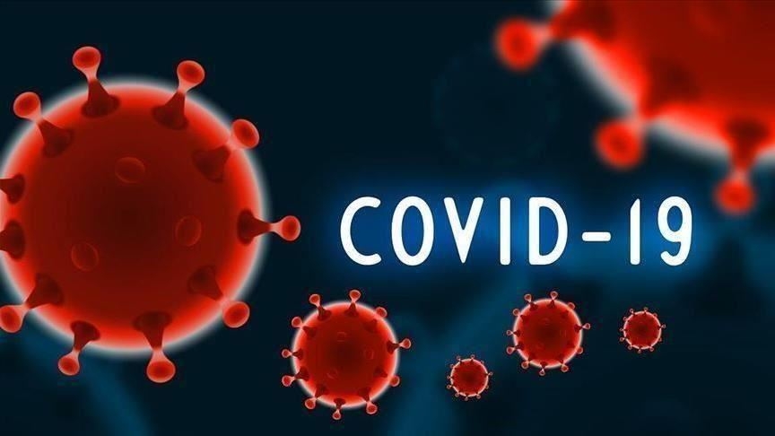 WHO reports 'sharp' increase in Covid-19 deaths