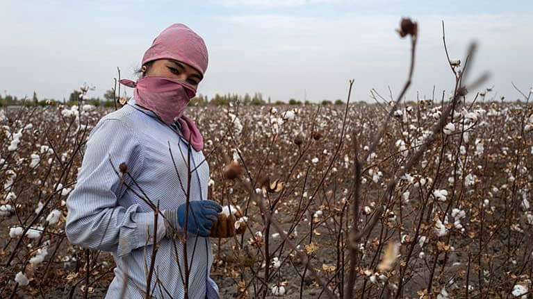 ILO findings proves Uzbek cotton is free from systemic forced labor