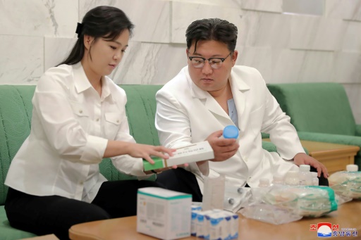North Korea says hundreds of families ill with intestinal disease