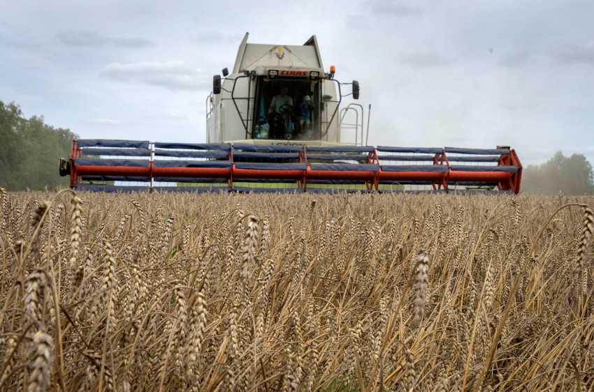 Japan to keep imported wheat price unchanged despite inflation