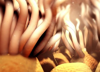 Hair-like cell structure may drive melanoma