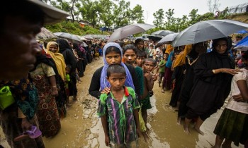 Desperately need more funding to help Rohingyas: IOM