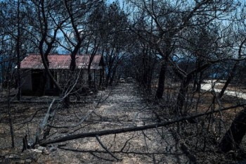 Greek wildfires death toll rises to 91