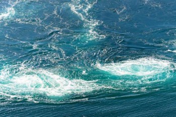 The Most Surprising Marine Phenomena