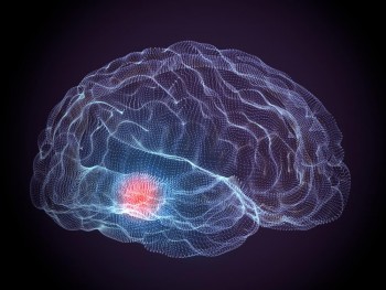 What makes aggressive brain cancer 'immortal?'