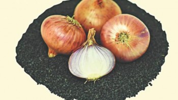 Lal Teer develops hybrid onion seed