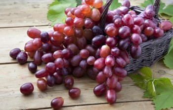 Nasal delivery of grape compound shows promising results in lung cancer