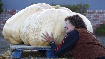 From special seed to 2170-pound winning pumpkin