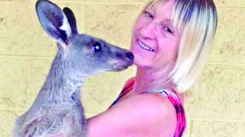 Kangaroo in savage attack on family